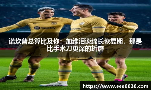 三亿体育娱乐网站
